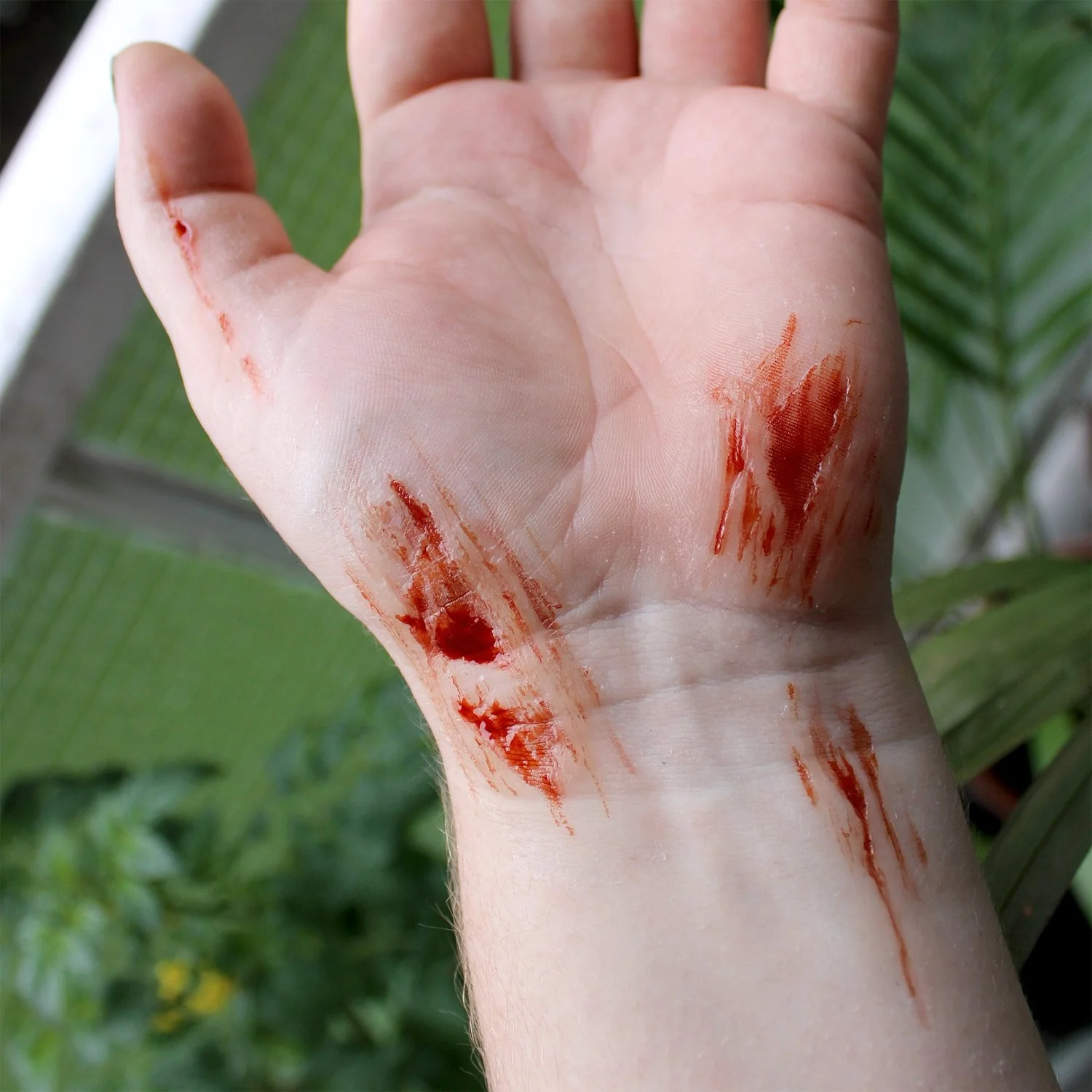 Thumb 2